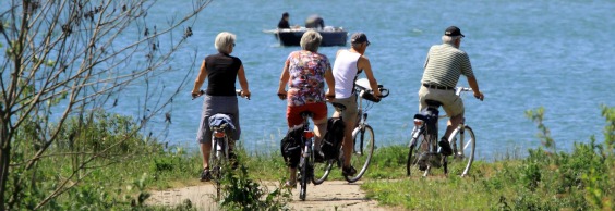 Ældre cykler ved sø